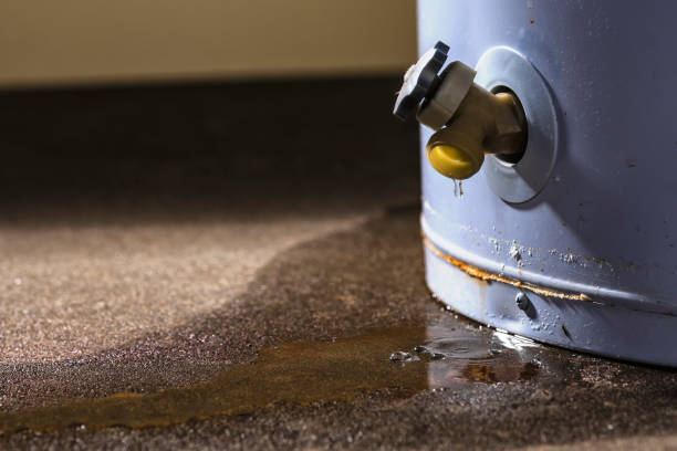 Best Carpet water damage restoration  in Emmitsburg, MD