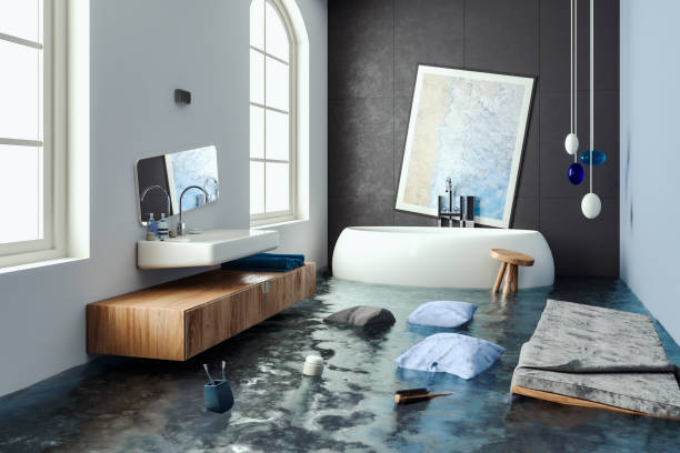Best Water damage restoration insurance claims  in Emmitsburg, MD