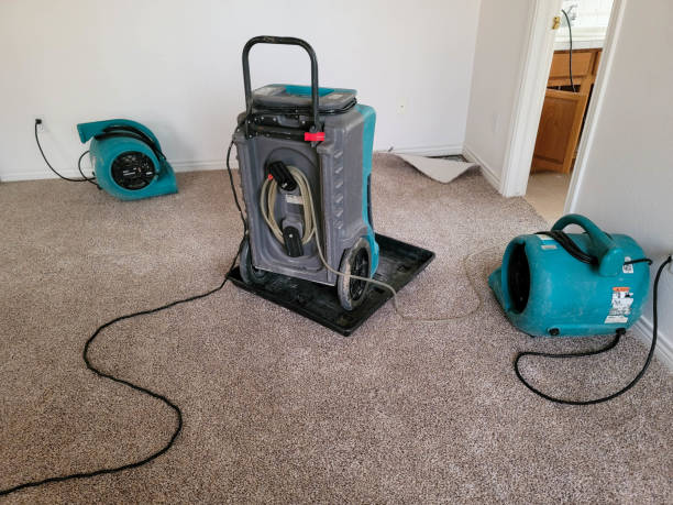 Best Water damage restoration near me  in Emmitsburg, MD