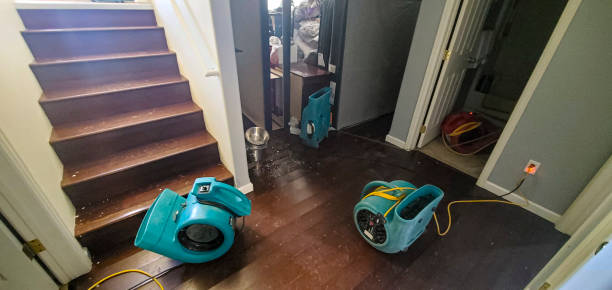 Best Water damage contractors near me  in Emmitsburg, MD