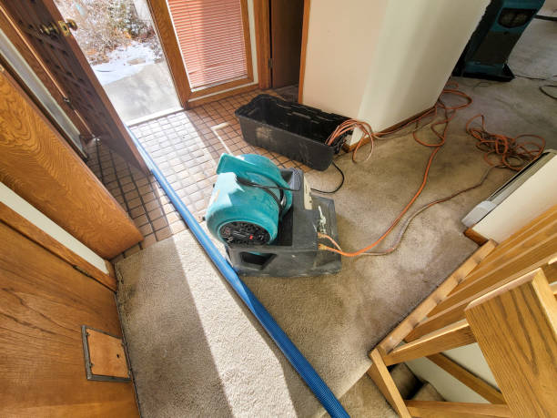Best Fire Damage Restoration  in Emmitsburg, MD