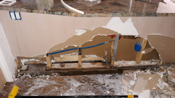 Best Water damage contractors near me  in Emmitsburg, MD