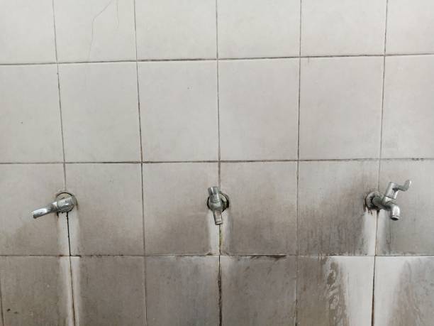 Best Sewage cleanup and water damage restoration  in Emmitsburg, MD