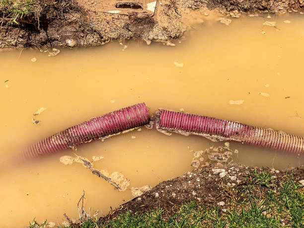 Best Water damage restoration services  in Emmitsburg, MD
