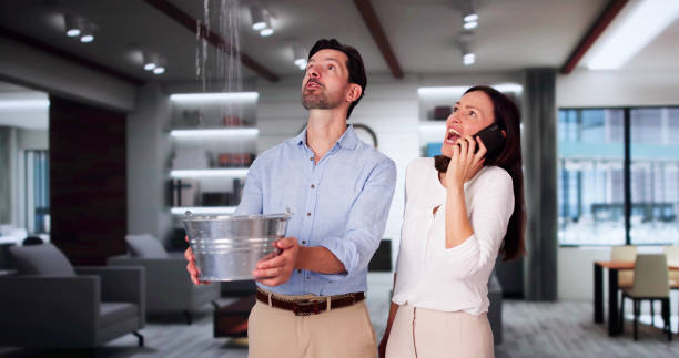Best Flooded house restoration  in Emmitsburg, MD